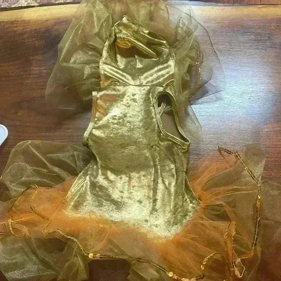 Childs size small to medium adorable gold costume with feather headdress. - Picture 11 of 13